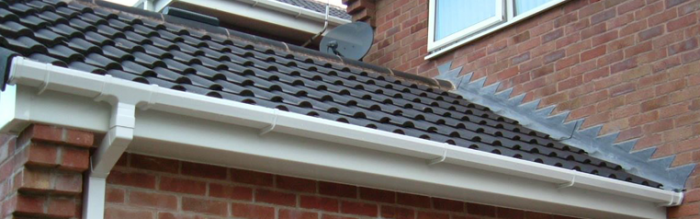 Gutter Cleaning Service