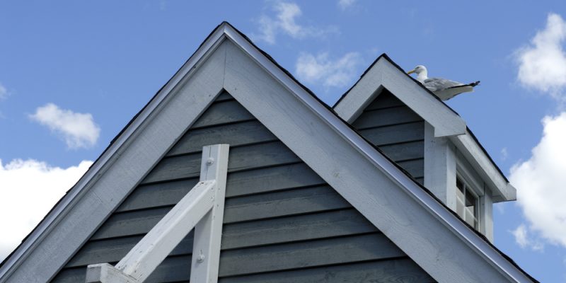 Lap siding Installation