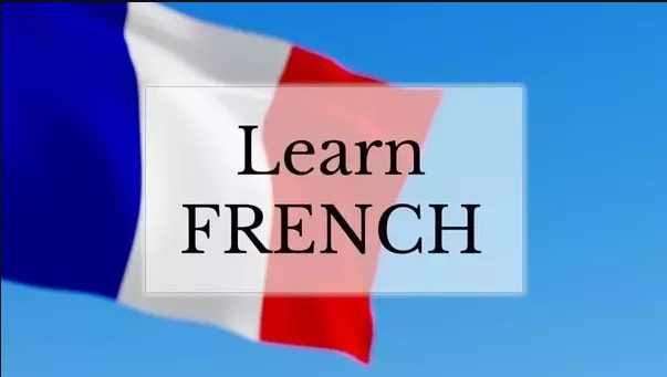 French institutes in Ambala