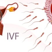 IVF Treatment Center In Mumbai