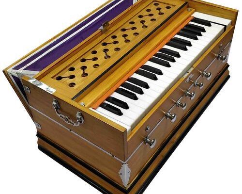buy musical instruments in India